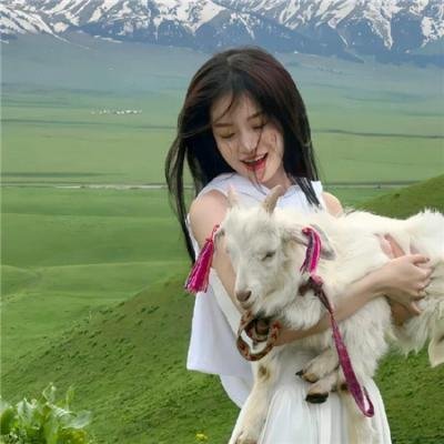 人脑离心机计划